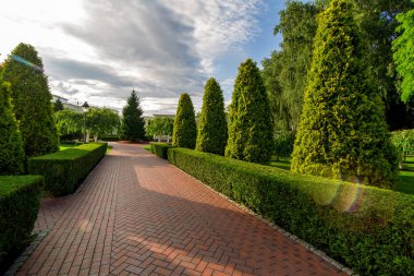 Bahçedeki kaldırım levhalarından yayalara kadar uzanan bir patika. Çitlerle çevrili, gökyüzünde güneş parlayan bulutlar var..
