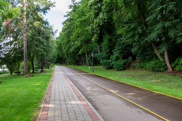 Park Pedestrian Walkway Asphalt Road Yellow Lane Bicycles Surrounded Green — Stock Photo, Image