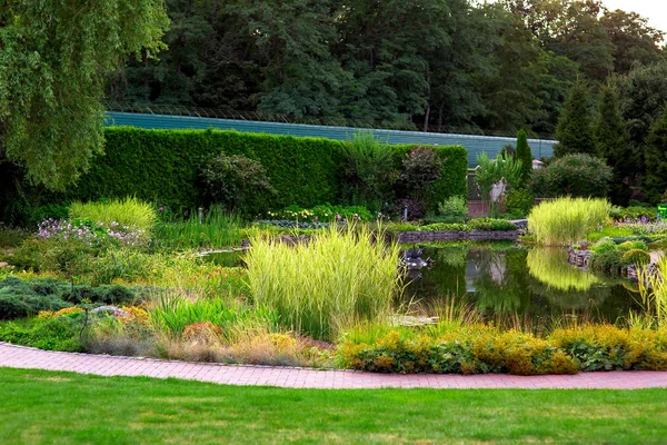 Paisajismo Del Parque Con Estanque Artificial Con Agua Muchas Plantas —  Fotos de Stock