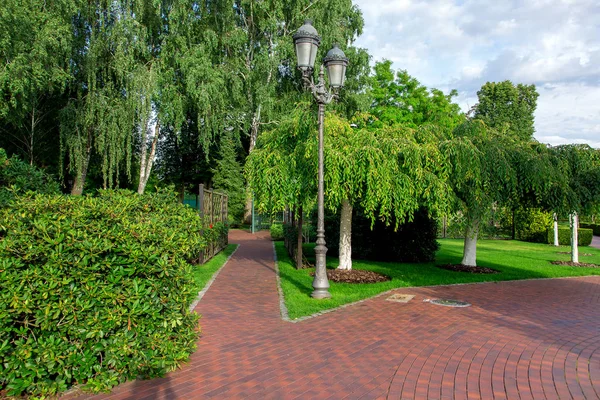 Well Kept Park Pedestrian Walkways Paved Red Tiles Many Different — Stock Photo, Image