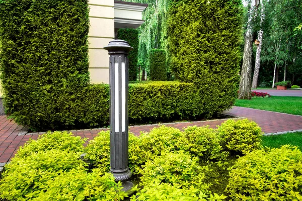 公園の緑の茂みや歩道の庭の地面の鉄のランプ — ストック写真