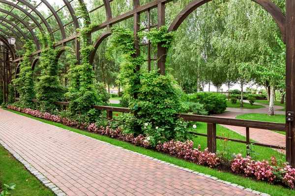 拱门上有爬山植物的木制拱廊 夏季公园里有花坛和人行横道 供人们在植物间漫步 — 图库照片
