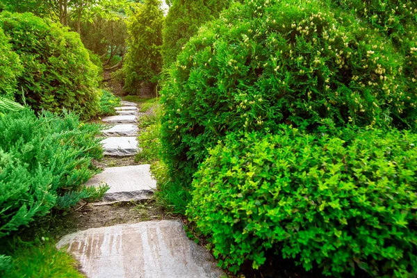 Camino Piedra Jardín Con Arbustos Ajardinados Camino Piedra — Foto de Stock