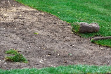 Bahçe bahçesindeki çimenlikleri düzenleyen hazır bir çimenliğin kurulumu, kimse boşluğu kopyalamıyor..