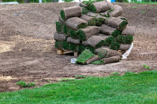 Rolky Trávníku Složené Přepravě Dřevěnou Paletu Stojí Zemi Připraven Pro — Stock fotografie