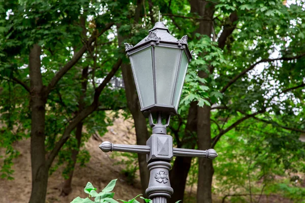 铁制街灯柱 复古风格 玻璃灯罩 锻造元件 公园内 有树枝和绿叶 — 图库照片