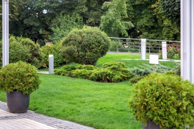 Yeşil manzaralı, yeşil arkaplan temalı, parktaki taş kiremitlerden yapılmış, her zaman yeşil bir çalıya sahip taş bir çömlek..