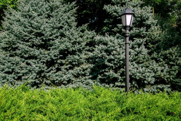 Lámpara Hierro Con Una Linterna Estilo Retro Parque Entre Arbusto —  Fotos de Stock