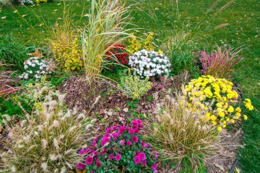 Çiçeklerin açtığı ve ağaç kabuğuyla gübrelediği bir yaz çiçeklerinin peyzajı..