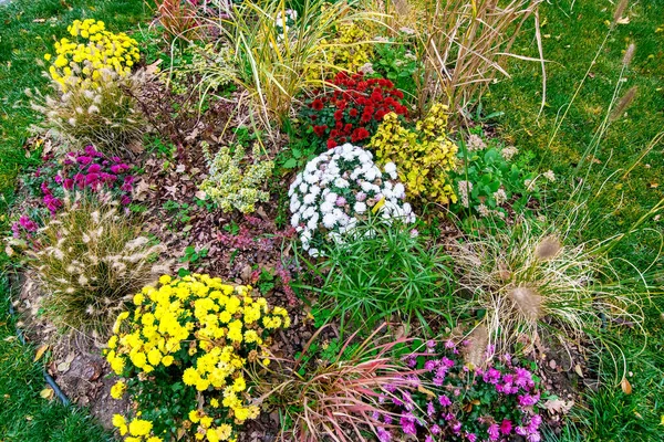 Landscaping of a summer flower bed with blooming flowers and mulching with tree bark, top view close up.