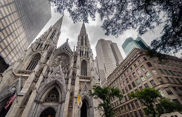 St. Patricks katedral — Stockfoto