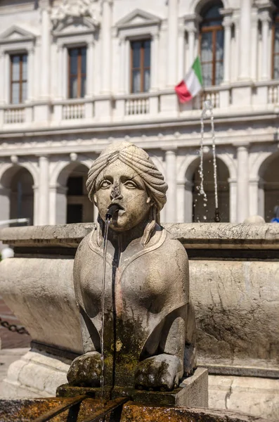 Fontana Piazza Vecchia Bergamo — Foto Stock