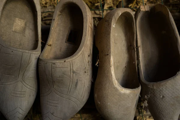 Holländische Holzschuhe — Stockfoto