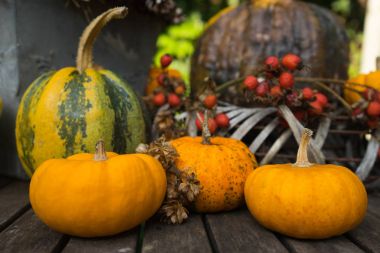 Sonbahar tablo dekorasyon arka plan