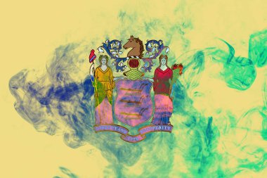 ABD eyaleti New Jersey 'in Ulusal bayrağı gri s