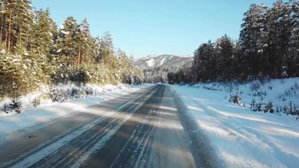 青い空の下で冬の冬の輸送とモーター道路の上の風に覆われた森の中の美しい針葉樹の木に沿って飛んで — ストック動画