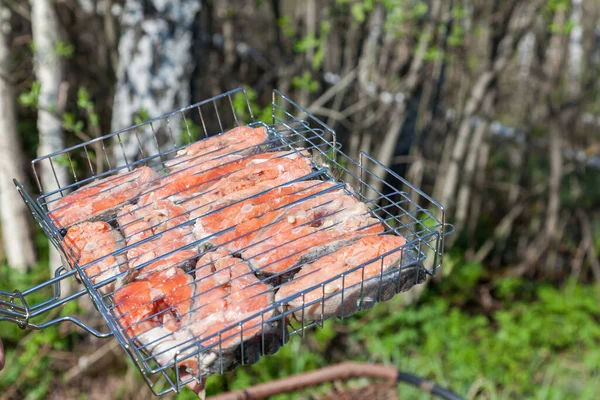 Red fish steaks - coho salmon skewers in a metal wire rack for open fire on a background of green grass. Weekend at the cottage with friends. Seafood in the fresh air.
