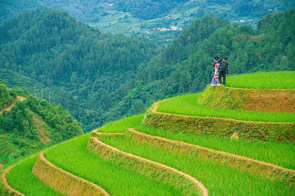 Retrato colina tribu chica asiático dama buscando hermosa terraza r — Foto de Stock