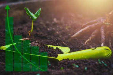 Tohumdan filizlenen yeşil park ağacı yeşil bir kürek üzerinde büyümekte ve teknik borsa büyümesi yukarı doğru ok sembolü stok yükselme veya boğa piyasa değer hacmi hacmi.