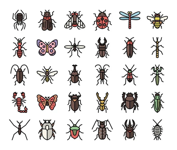 Insect Color Outline Vector Icons Bug Garden Concept — Stock Vector