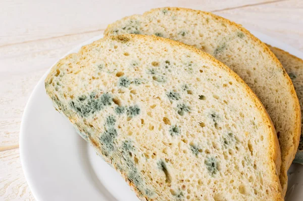 Close-up de pão velho com mofo verde em um pires branco — Fotografia de Stock