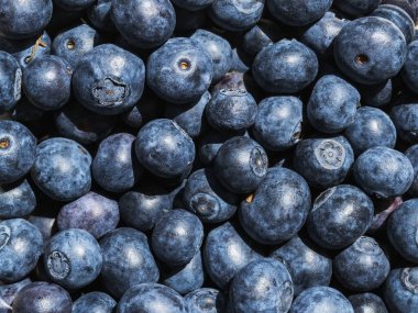Parlak güneşin altında olgun, sulu yaban mersini. Meyve ve böğürtlen, vejetaryen ve sağlıklı beslenme. Süper yemek. Yemek hazır. Üst görünüm.