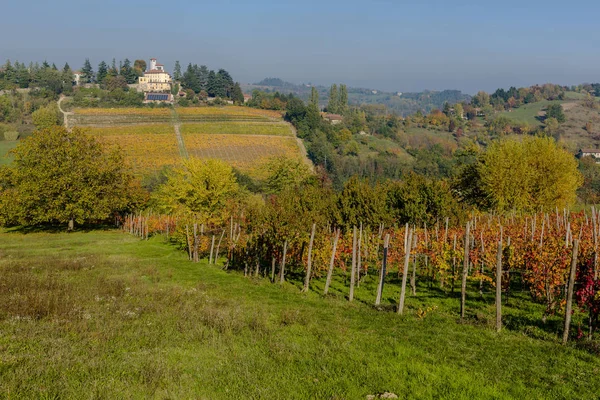 Vineyards in Piedmont — Stock Photo, Image