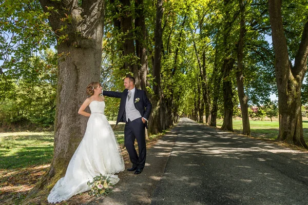 Bride and Groom in a tree-lined avenue
