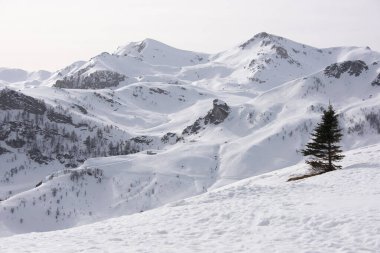 Alplerde karlı bir manzara