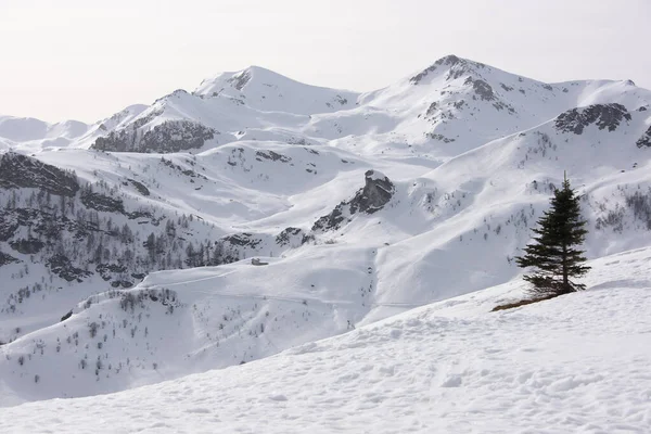 Verschneites Alpenpanorama — Stockfoto