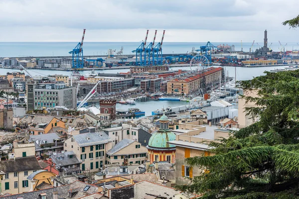 Utsikt Över Den Gamla Staden Genua Från Spianata Castelletto Italien — Stockfoto