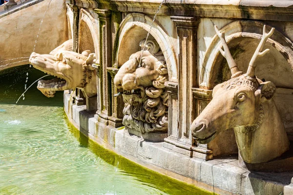 Den Pretorianska Fontänen Monumental Fontän Palermo Belägen Hjärtat Den Historiska — Stockfoto
