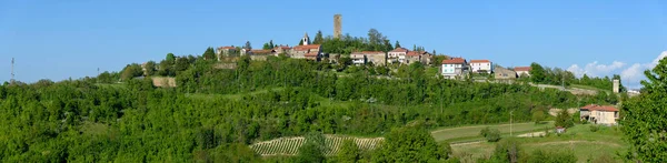 Uitzicht Groene Heuvels Van Castelletto Erro Bij Acqui Terme Piemonte — Stockfoto