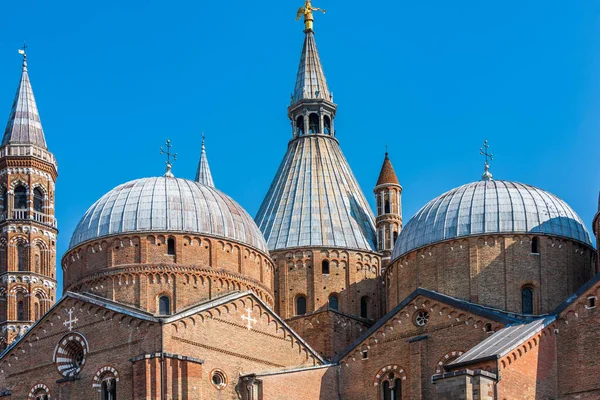 Pontifical Basilica Saint Anthony Padua Roman Catholic Church Minor Basilica — Stock Photo, Image