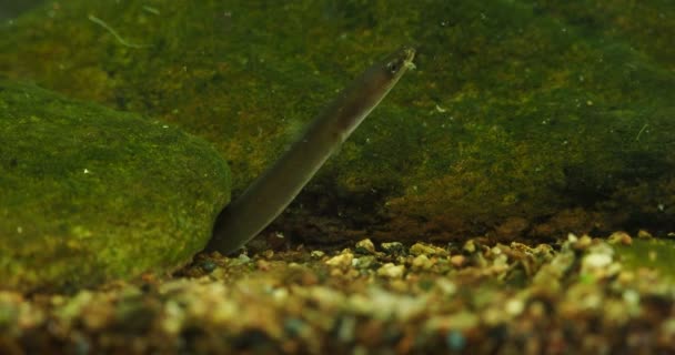 Порно М Малолетками