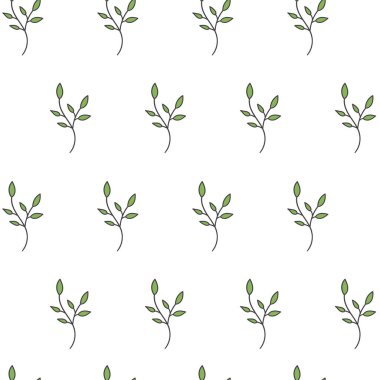 Beyaz arka planda basit yumuşak bir dal. Bahar pürüzsüz desen. Yapraklar ve çekimler. Paketleme, web sitesi, paketler, sosyal ağlar, kumaşlar, duvar kağıtları.