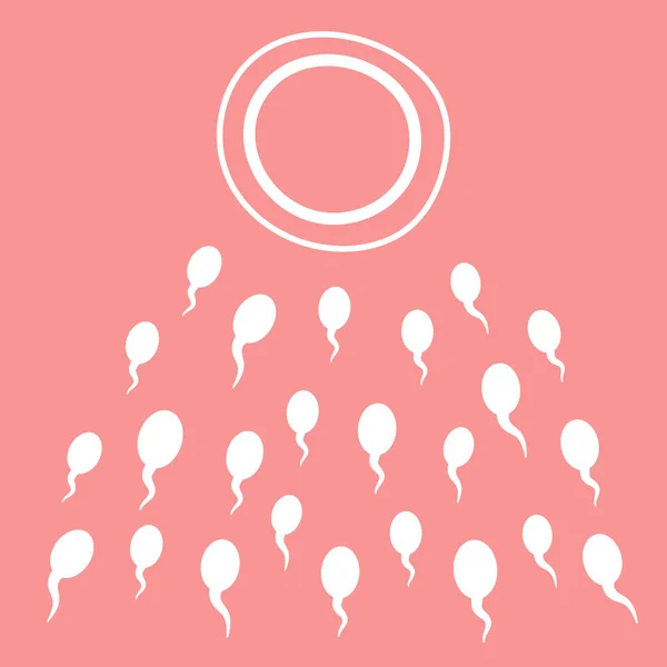 Spermatozoa Tenderar Att Ägg Begreppet Befruktning Graviditet Befruktning Gynekologi Kvinnors — Stock vektor