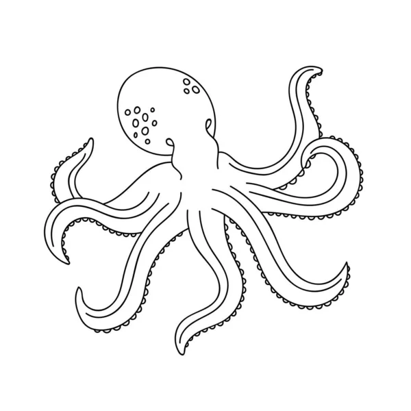 Doodle Octopus Coloring Sea Animals Childrens Color Pages Hand Draw — 스톡 벡터