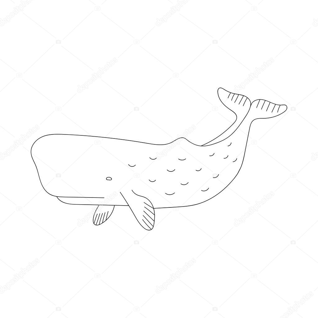 Doodle cachalot for coloring.Sea animals for children 's coloring pages.Hand drawn vector illustration isolated on white background