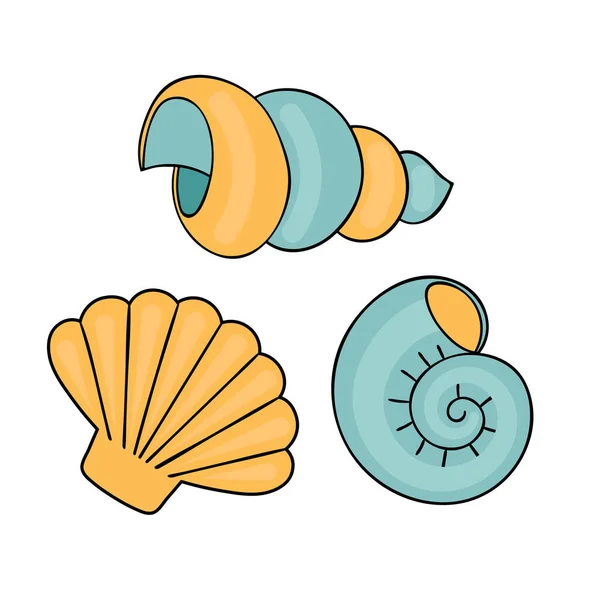 Aranyos kézzel rajzolt tengeri kagylók. Tengeri elemek dekoráció, gyermekkönyvek és weboldalak. Vektor illusztráció elszigetelt fehér háttér. — Stock Vector