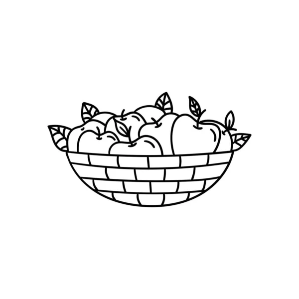 Vector doodle basket with apples. Cooking, cooking utensils, dishes, home items. Hand drawn illustration isolated on white background. — Stock Vector
