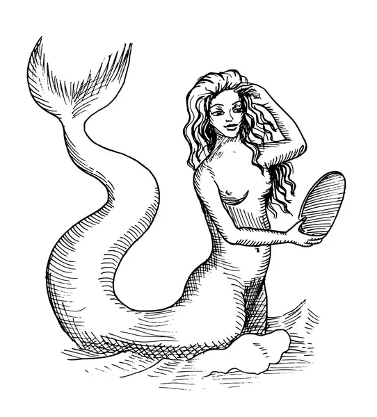 Mermaid or siren — Stock Vector