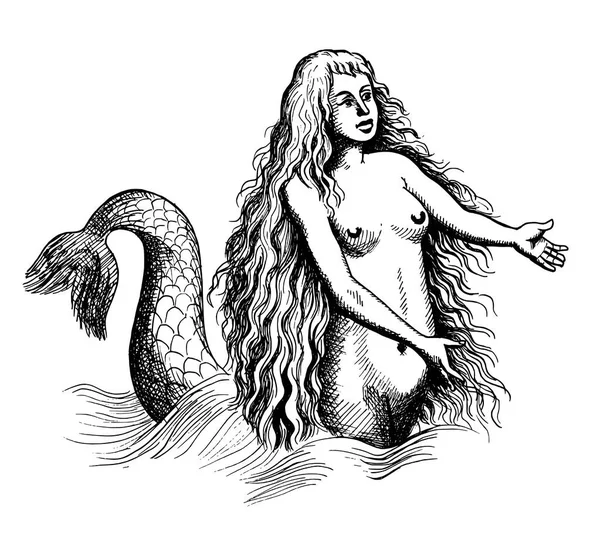 Nixe oder Sirene — Stockvektor