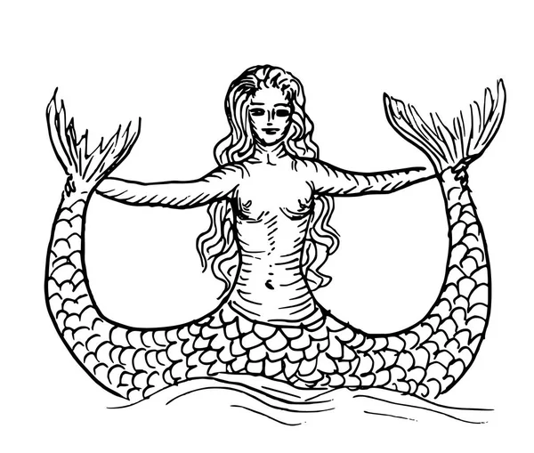 Mermaid or siren — Stock Vector