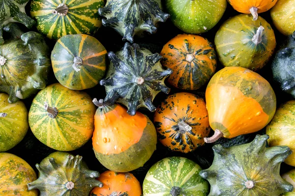 Textura de calabazas - fondo decorativo de otoño —  Fotos de Stock