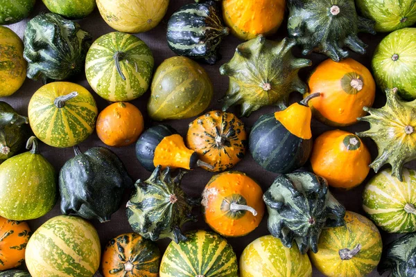 Pumpkins texture -  autumn decorative background — Stock Photo, Image