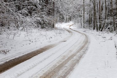 Ormandaki beyaz kış manzarasında yol. 