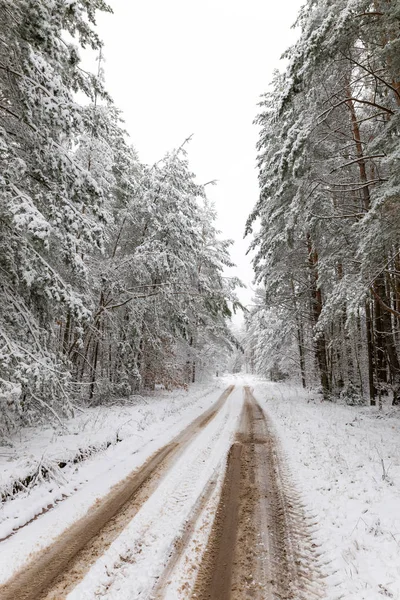Estrada Paisagem Inverno Branco Floresta — Fotografia de Stock