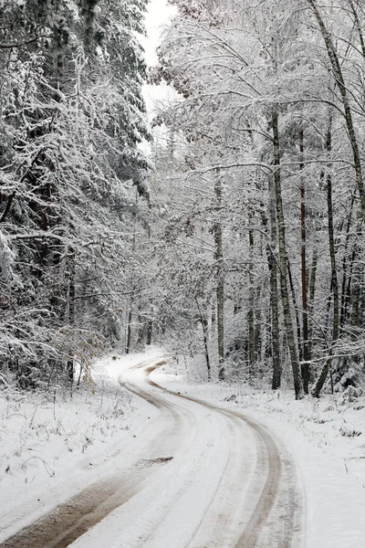 Estrada Paisagem Inverno Branco Floresta — Fotografia de Stock