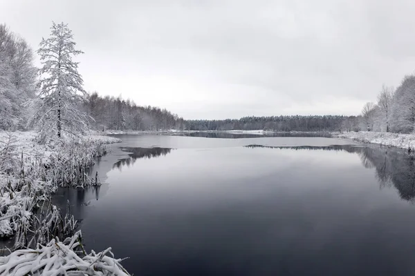 Bílé Zimní Krajiny Jezero Lese — Stock fotografie